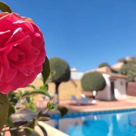 Casa Maleda Βίλα Hornachuelos Εξωτερικό φωτογραφία